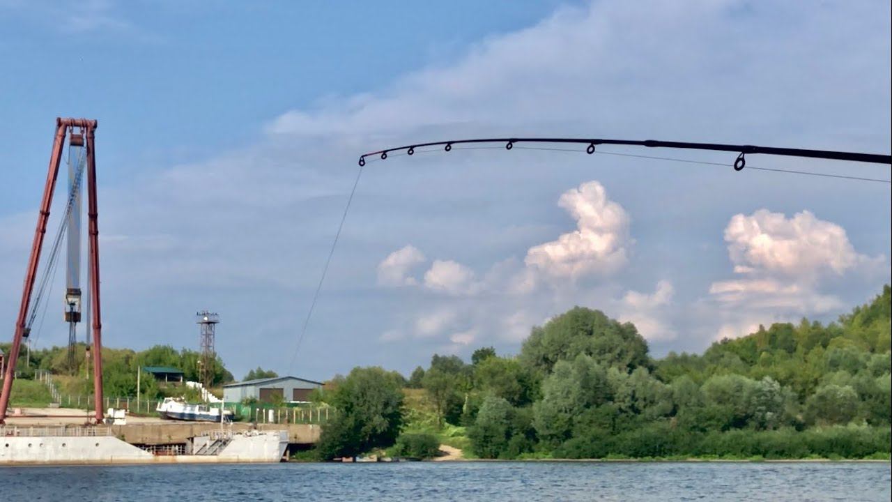 РЫБАЛКА НА ОКЕ / БЕШЕННЫЙ КЛЁВ ПОСЛЕ ОБЕДА / Поклёвки на КАЖДОМ Забросе смотреть онлайн