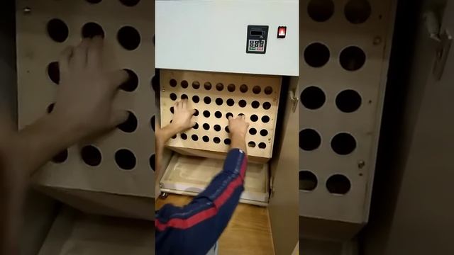 Первый этап чистки шубы в откатном барабане для меха смотреть онлайн