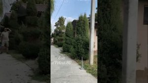 КУРС ПРАКТИКА - Работа с кусторезом