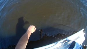 Рыбалка на кольцо, леща, на Волге.