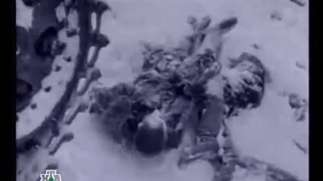 Блокада Ленинграда смотреть онлайн