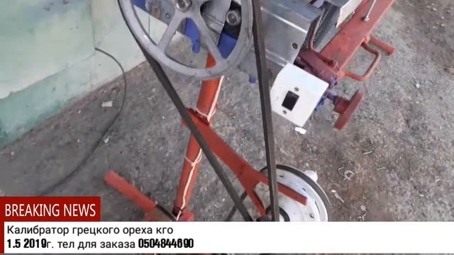 Калибратор грецкого ореха КГО 1,5 2019 смотреть онлайн