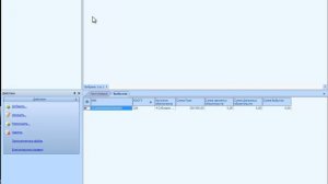 Регистрация плана ФХД. Парус Бюджет 10 Модуль Бухгалтерский учет