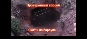 Охота на барсука КП-250... 2,5 часа просидел возле норы...