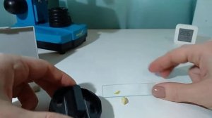 пробую в действии микротом