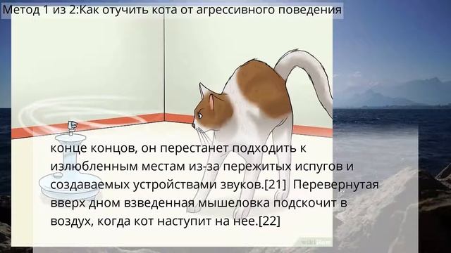 Как отучить кота нападать на вас