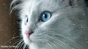 Music for healthy cats, separation anxiety music, healing music, relaxing sleep music, calming musi