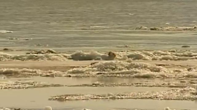 Лёд тронулся смотреть онлайн