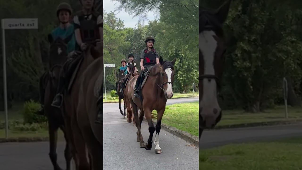 Любимое время на лошади смотреть онлайн