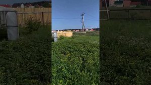 Бесплатный забор своими руками из поддонов