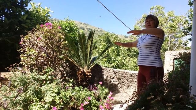 КАК ПРАВИЛЬНО ПРИВЕСТИ СЕБЯ В ФОРМУ К ЛЕТУ.??? смотреть онлайн