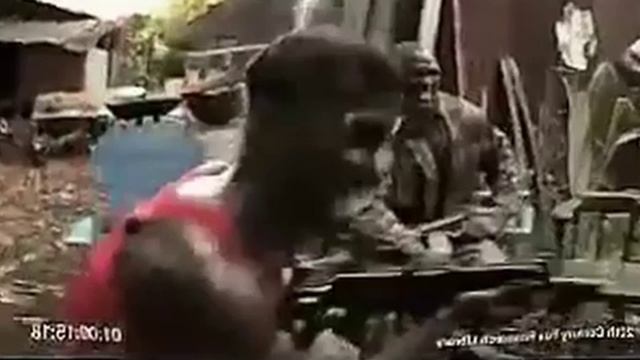 shooter monkey смотреть онлайн