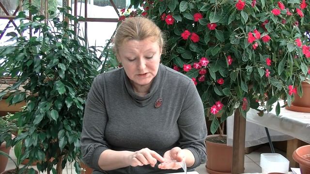 Видео-уроки 