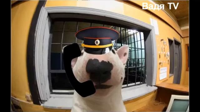 Звонок в Полицию? (Не Пранк)