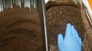 Биогумус! Результат просейки. Разведение червя дома. Вермиферма.