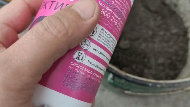 Как сеять козлятник восточный Скарификация Инокуляция семян козлятника Галега восточная Galéga Трав смотреть онлайн