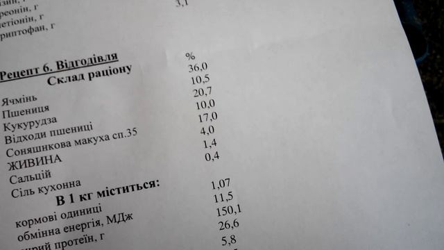 Четыре рецепта комбикорма для поросят