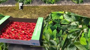 MY SUMMER CAR | ОБНОВЛЕНИЕ от 06.12.2022 | Что НОВОГО в ИГРЕ?