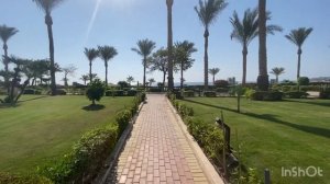 ??ОТЕЛЬ МЕЧТЫ ⁉️БЮДЖЕТНО, но очень КРУТО /Первая линия Grand Oasis Resort Savoy group /Бухта Шаркс