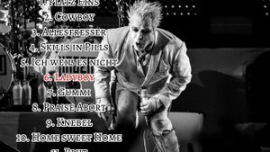 Топ 11 песен группы Lindemann @TillLindemann_official#музыка #рок #металл