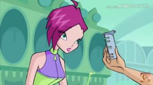 Что для тебя красота. Клип Винкс. Текна и Тимми