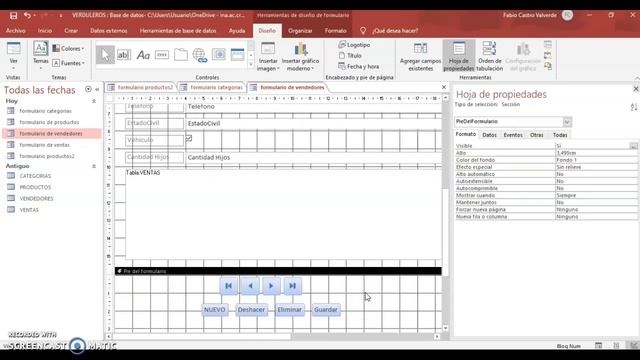 FORMULARIOS EN VISTA DE DISEÑO ACCESS смотреть онлайн