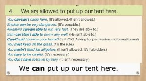 STARLIGHT 6 page 15 exercise 5 GRAMMAR