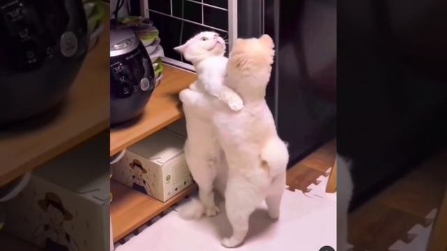 Улыбнись !