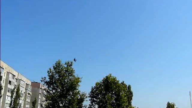 Ласточки за окном смотреть онлайн