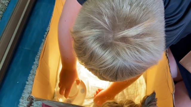 Одиннадцать друзей Мишки Журавлева и суетливый зоотехник!Цыплятам-пять дней!Мишка супер ЗООЛОГ!