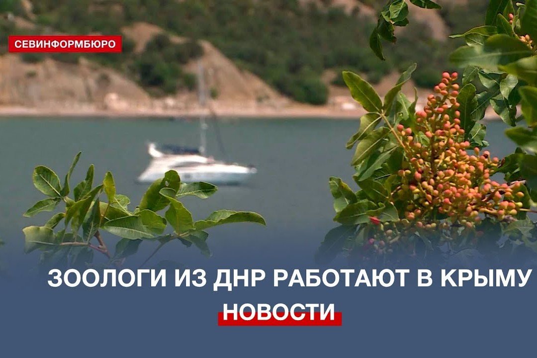 Учёные из Донецка исследуют краснокнижных животных в природных заказниках Крыма