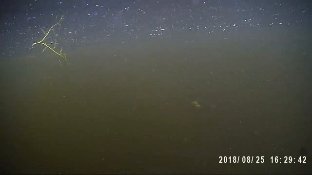 Ванавара. Рыбалка на подкаменной тунгуске, ловим щук-1с. 2018г.08м.25д смотреть онлайн