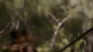 "Призрак и тьма".(Охота на львов).Майкл Дуглас,Вэл Килмер!