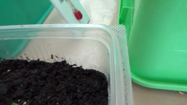 Проверяем посевы от 6,7 02 смотреть онлайн