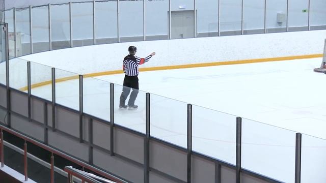 Жесты хоккейных судей (основные жесты согласно правилам IIHF 2018-2022)