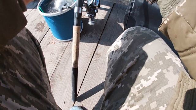 Тарань таки пошла! Клюёт так, что сидеть некогда, не успеваю ловить на два фидера?| Рыбалка на 42 к смотреть онлайн