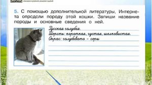 Задание 5 Про кошек и собак - Окружающий мир 2 класс (Плешаков А.А.) 1 часть