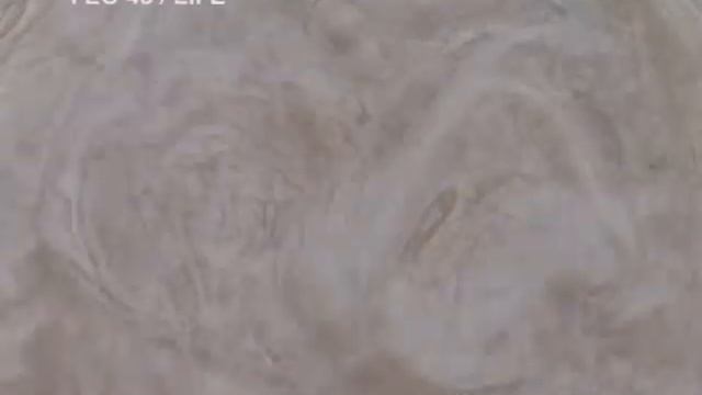 Родник на Узковой пади. Курганская область.