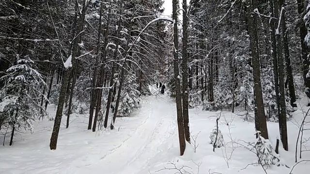 Штурм горки, Игорь на толкаче. смотреть онлайн