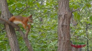 Курорт Ангара - Иркутск