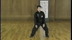 Аутентичный Бацзи Цюань.