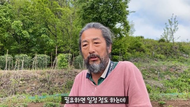 직접 거름 만들어 600평 밭에 뿌렸습니다