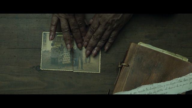 "Еврокино": "Пальмы в снегу"