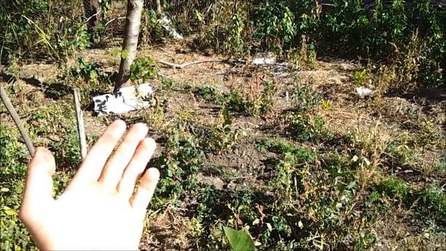 Солнечная ловушка как элемент пермакультуры. смотреть онлайн