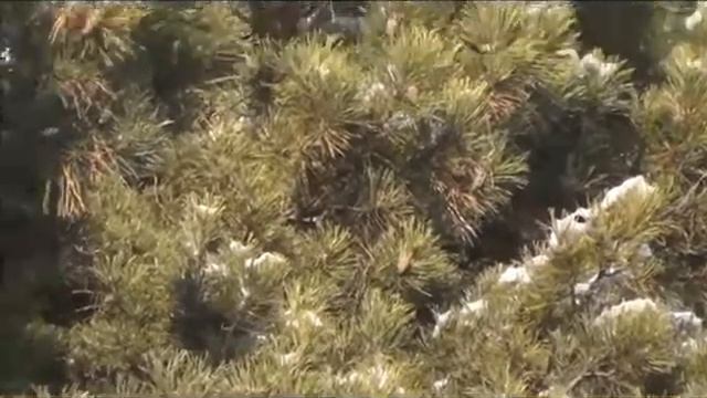 Видео хобби.Конец 2014 начало 2015 года. смотреть онлайн