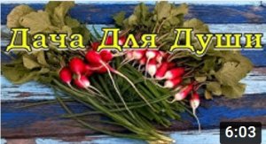 Хитрости при выращивании РЕДИСКИ???