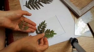 Гербарий в рамке под стеклом