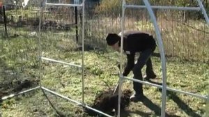 Инструкция сборки теплицы из квадратной оцинкованной трубы. Накрываем теплицу поликарбонатом