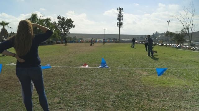 AMERICAN PITBULL TERRIER: BREED REVIEW смотреть онлайн