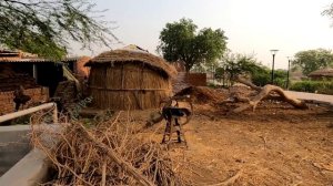 Как живут в Индии? Дома у индийцев! Индийская традиционнная прачечная на реке! Индия 2022